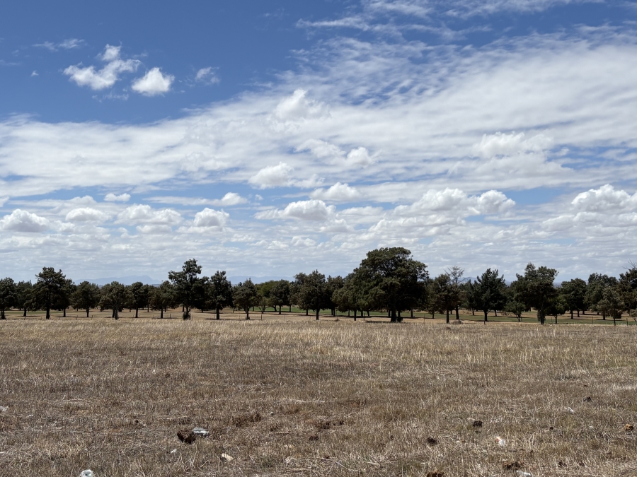 4 Bedroom Property for Sale in Darling Western Cape